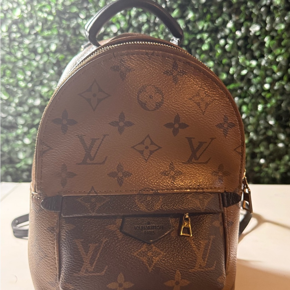 Louis Vuitton LV reverse Monogram Palm Springs Mini - Picture 5 of 16